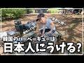 腕によりをかけた韓国人のBBQは日本人にうけるのか。ドキドキしますね