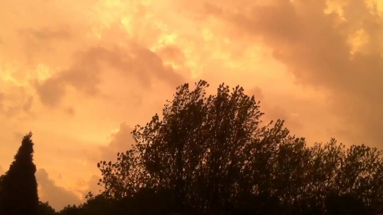 Poetry Projector 5: Ben Mirov