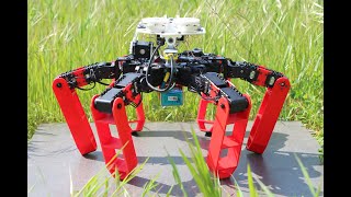 Cours de Biomimétisme Biomimétique Biorobotique ENSTA 9 juin 2020