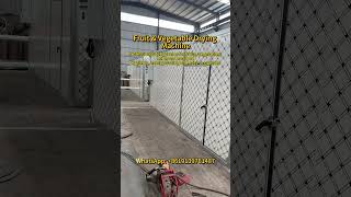 Fruit &amp; vegetable drying machine: energy-saving, even drying &amp; easy operation.
