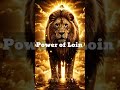 Driven by Sun Energy ☀️ Lion Power Awakens #shorts #viralshorts #lion #mulank1#sunenergy #suryadev