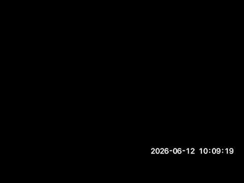 Server - AI HW SW CoDesign - sub-project - (2026-06-12)