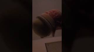 Famous I'm never ordering from temu again 💀 #asmr #joke Wealth