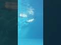 Anywhere with you, into the deep