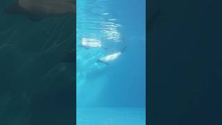 Anywhere With You, Into The Deep