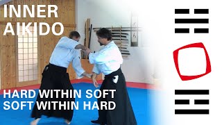 Aikido: Hard within Soft - Soft within Hard | Seminar of Tanden Dojo Berlin Salzburg 2014 screenshot 2