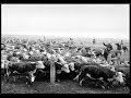 Cattle Drives and the Rise of Texas Ranching in the Post Civil War Era