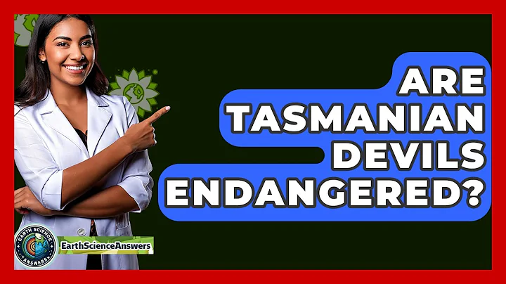 Are Tasmanian Devils Endangered? - Earth Science Answers