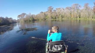 Paddling with Gators