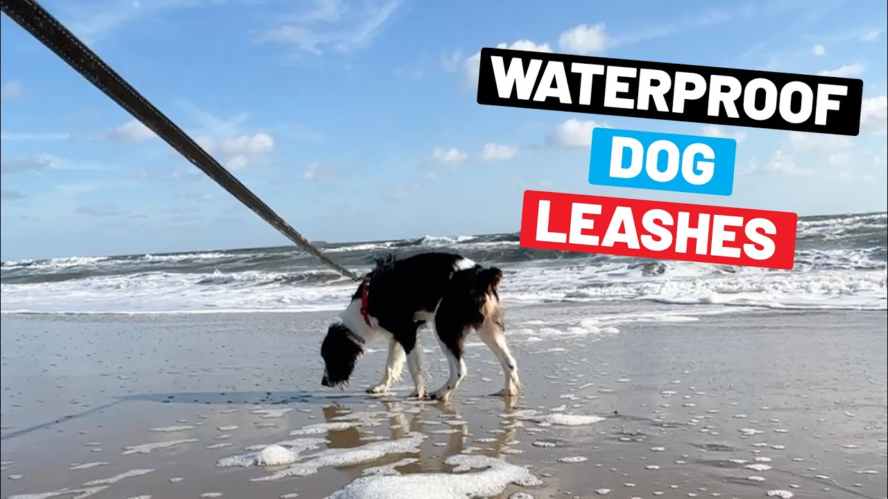 Waterproof Dog Leashes For Swimming