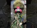 Small Chaff Cutter Agriculture Straw Grass Chopping Machine Cattle Goat Pig Feed Forage Chopper Small Chaff Cutter Agriculture Straw Grass Chopping Machine Cattle Goat Pig Feed Forage Chopper