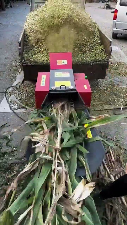 Small Chaff Cutter Agriculture Straw Grass Chopping Machine Cattle Goat Pig Feed Forage Chopper