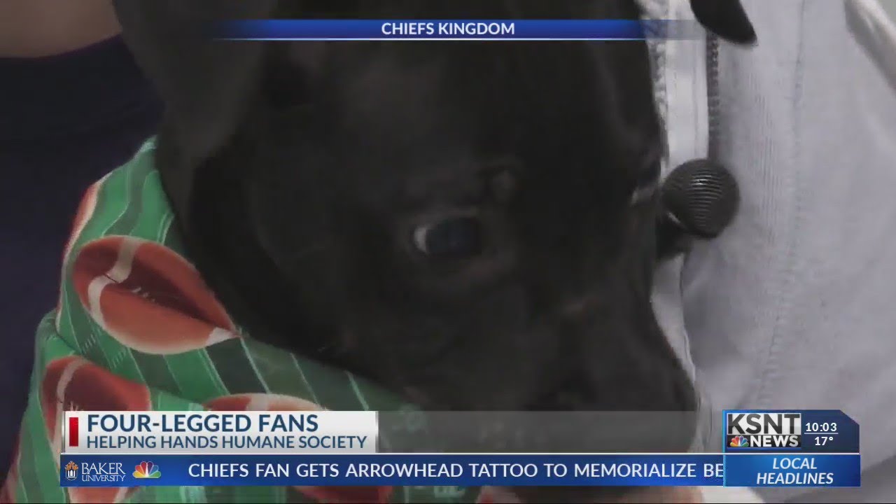 Helping Hands Humane Society offers Mahomes adoption special this weekend