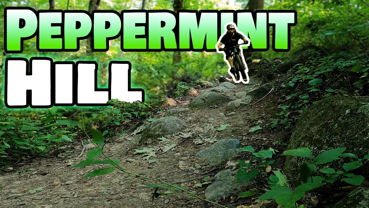 Peppermint Hill Mountain Bike Trail at Potato Creek State Park - North Liberty, Indiana