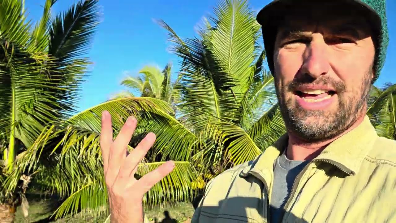 Куда потратить деньги (вы пропускаете этапы?)