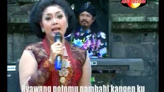 Cokek Sragenan - RONDHO DESA - indri - Campursari  SekarmayanK (Call: 628122598859)