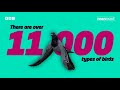 How are Animals named? | Newsround