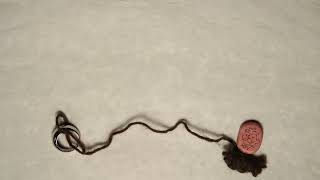 Found Object Stop Motion Animation [ANI 355]