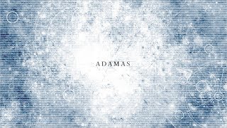 ADAMAS / LiSA -Cover- ウォルピスカーター