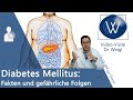 Hab ich Diabetes Mellitus? Die berüchtigte Zuckerkrankheit einfach erklärt & Tipps bei Insulinmangel
