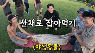 몽골 초원에서 야생동물 사냥해서 먹어보기