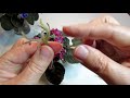 African Violet Propagation by Blossom Stems