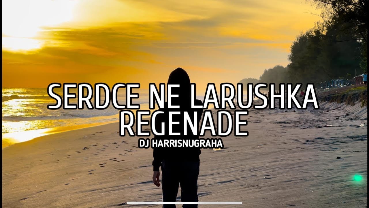 DJ SAD!! SERDCE NE LARUSHKA Renegade - Dj HarrisNugraha ( Official Music Vidio )