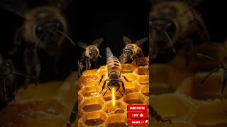 Honey Bee: The Tiny Economist That Solved Humanity’s Productivity Problem | Cinematic Documentary