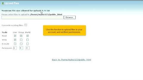 How to use File Manager in cPanel