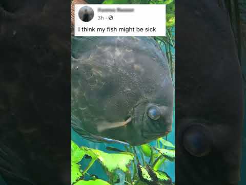 Every Aquarium Facebook Group