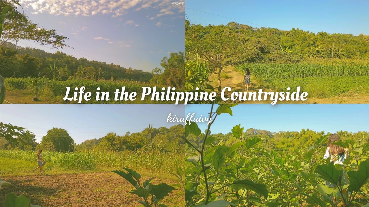 Life in the Philippine Countryside 🌴 cozy relaxing day silent vlog ...