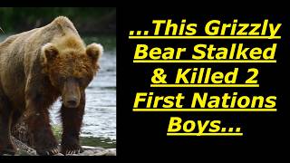Scary Bear Attacks: First Nations Boys Stalk Wounded Bear, But Are Killed By A Second Bear
