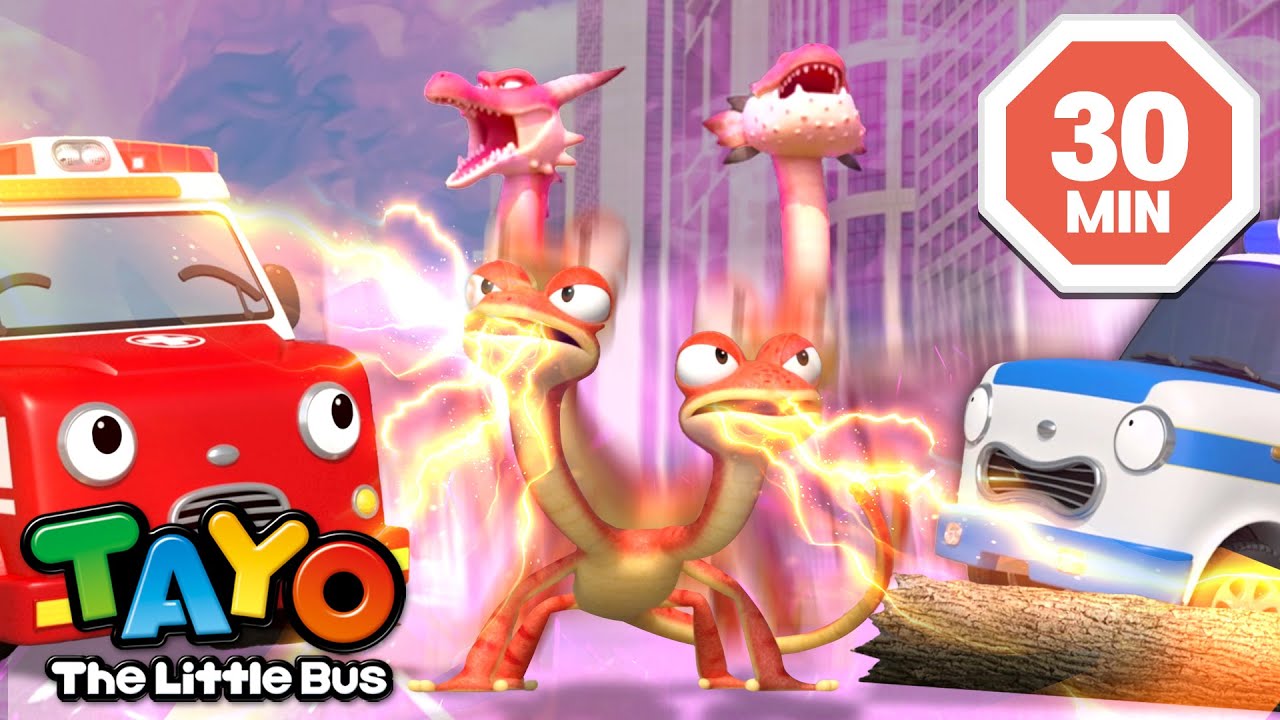 Animales Mágicos | Tayo Serie 7 Episodio | Tayo el pequeño Autobús