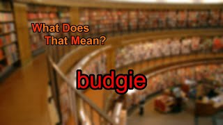 What Does Budgie Mean?