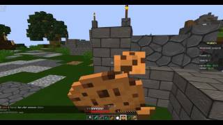 играем с моим другом на сервере mc.litecloud.me потная каточка