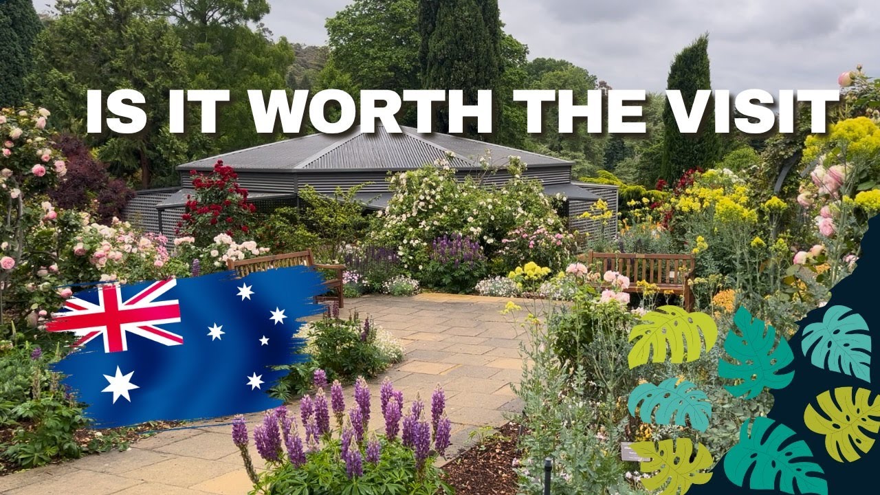 Exploring Tasmania’s Stunning Botanical Gardens | Hobart Nature Spot