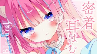 苺氷えな-itigori ena-の配信のサムネイル画像