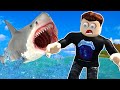 Shark Survival in a Ship?! (Roblox SharkBite Gameplay)