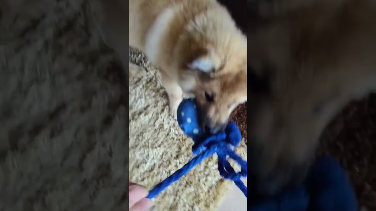 LASS Training in Arbeit 