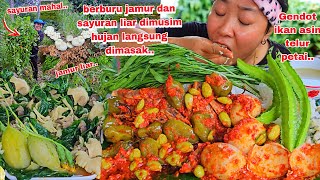 BERBURU JAMUR DAN SAYURAN LIAR, LANGSUNG MASAK DAN MAKAN  🤤