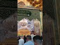 ضريح ابا الفضل العباس عليه السلام 