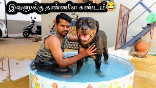 KIDS SWIMMING POOL | SUMMER | CHILLING WITH RAMBO | Parthi Vlogger