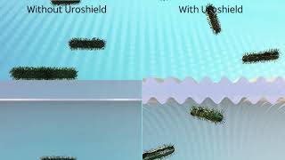 UroShield MOA Video Short