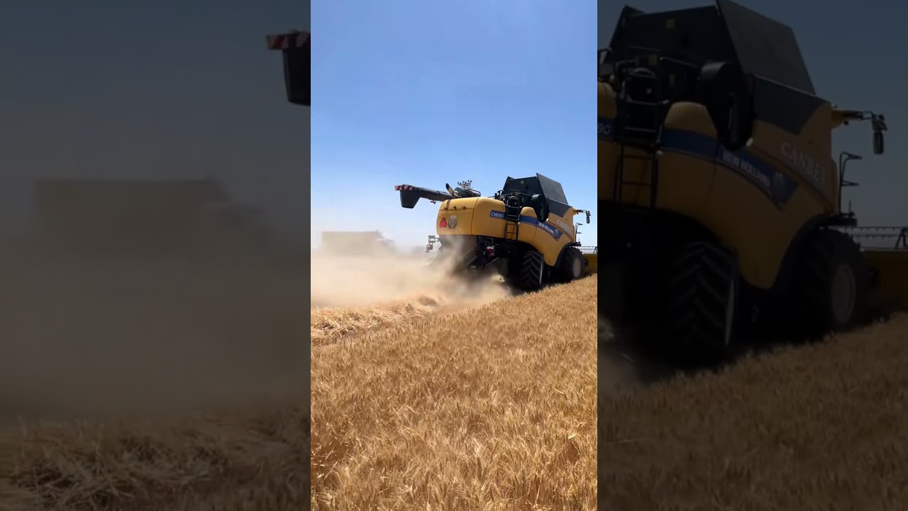 🔥 New Holland CX 8.90 PLMi | Сельскохозяйственная техника года 2026