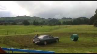 skyline in the paddock