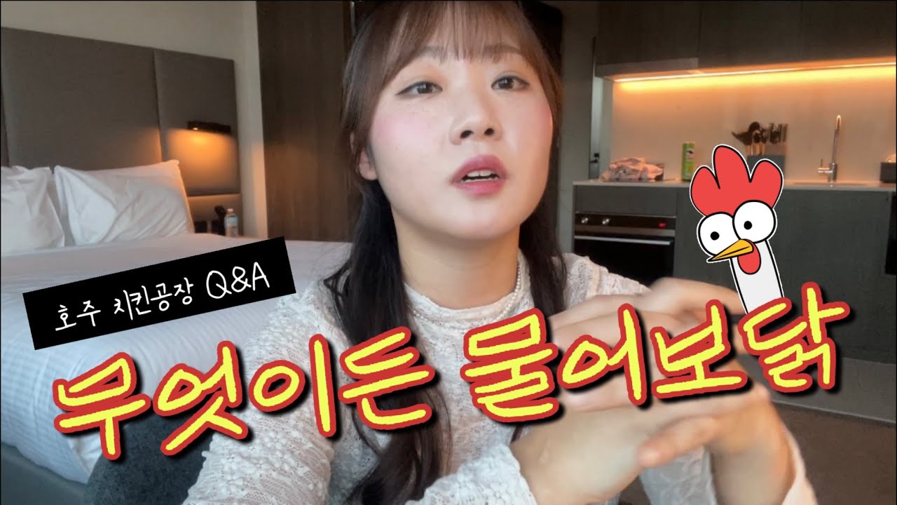 호주 치킨공장 Q&A 무엇이든 물어보닭 🐔 | 페이슬립 공개 및 급여, 지원방법 | 호주워홀