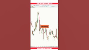 Leader EMA MT5 Indicator