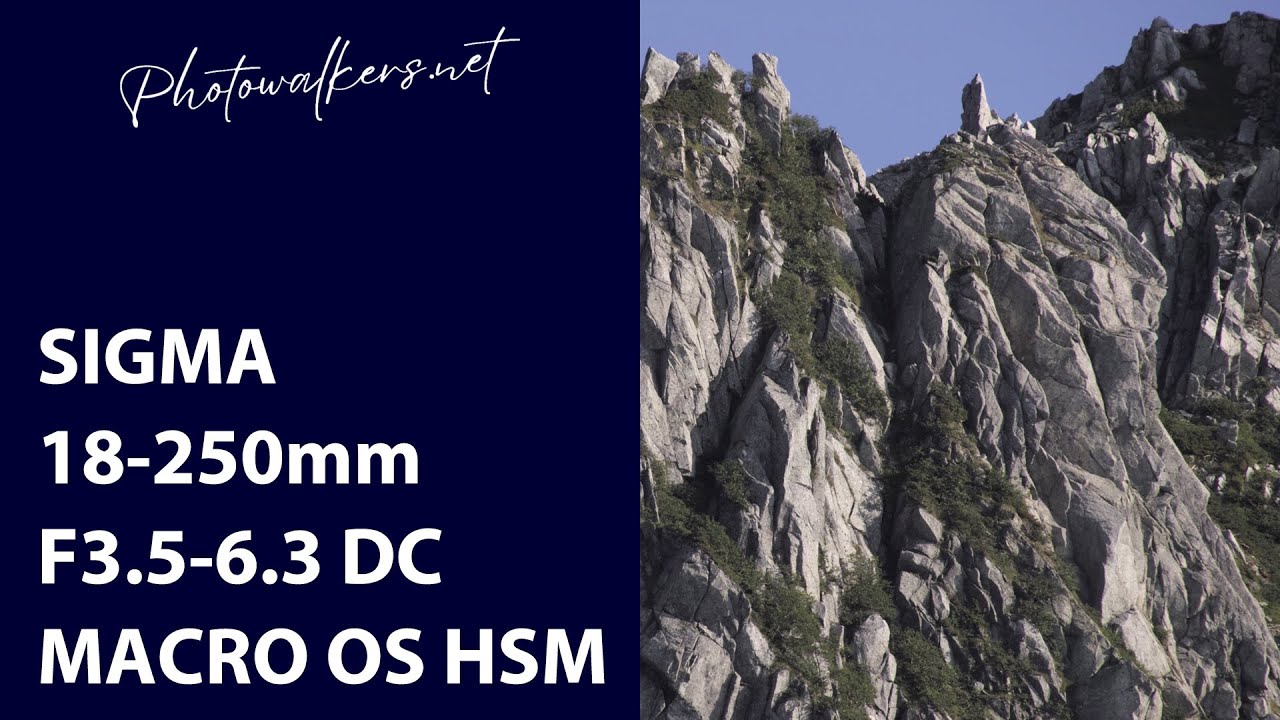 すずめ様_フォロー割❤️SIGMA 18-250mm DC HSM MACRO 【公式通販】