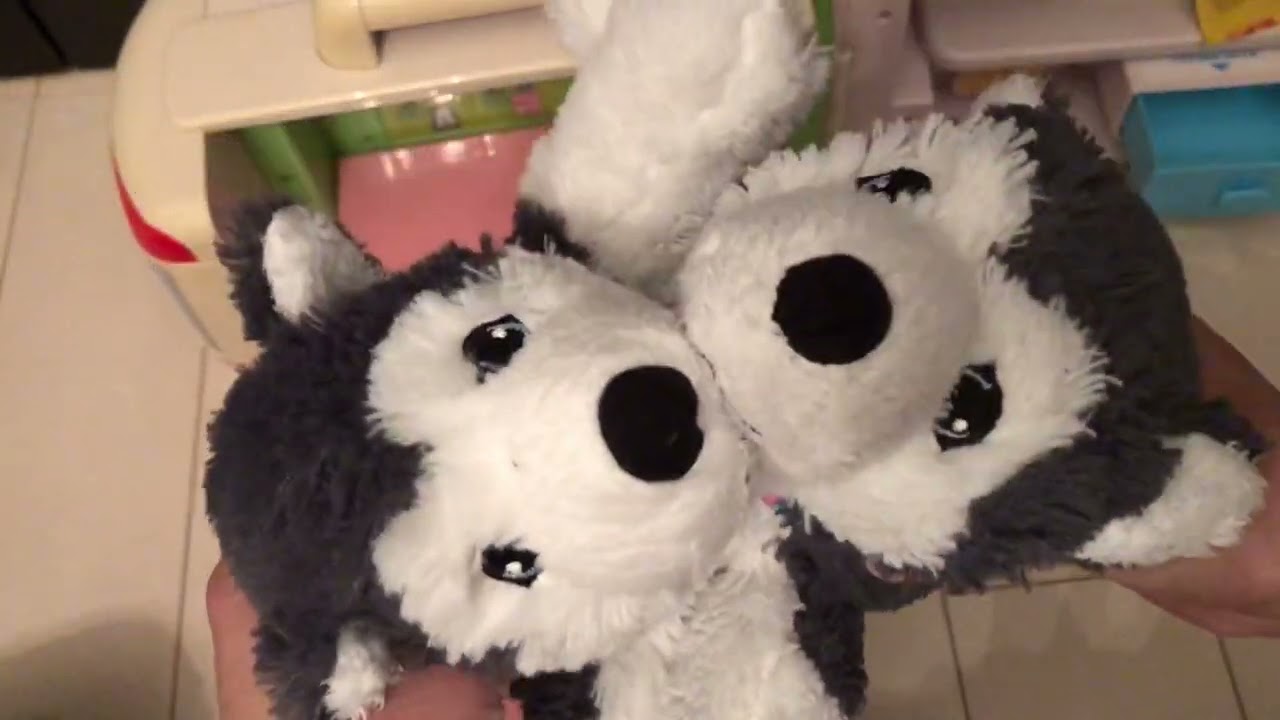 緊急事態③ザッスーも手術！？