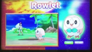 Pokemon sun and moon starter Pokemon reaction video